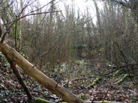 Emplacement des pièces d'artillerie